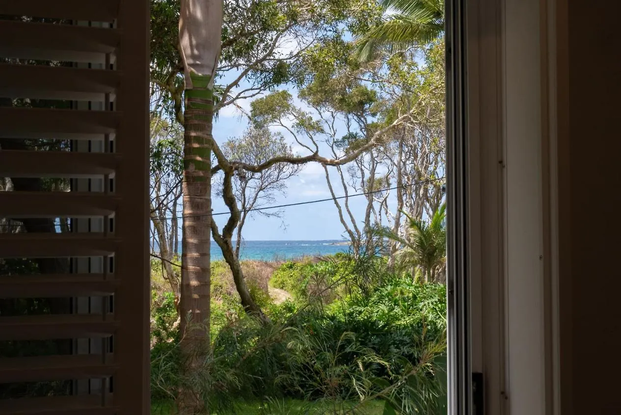 Driftwood On Home Beach - Absolute Beachfront Point Lookout