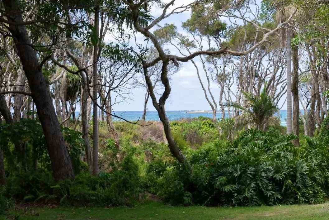 Driftwood On Home Beach - Absolute Beachfront Point Lookout